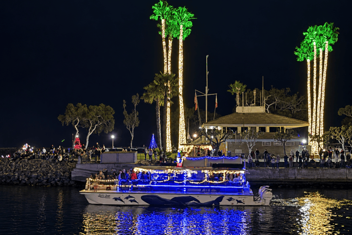 Boat with blue lights on water near illuminated palm trees at night.