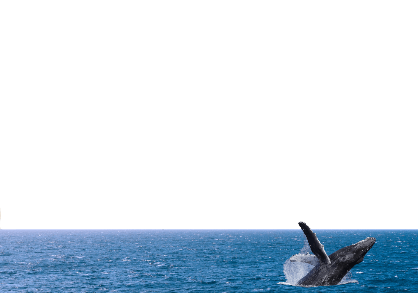 Top 5 MustVisit Beaches in Dana