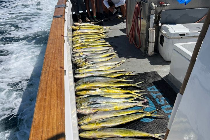 a wooden boat in a body of water