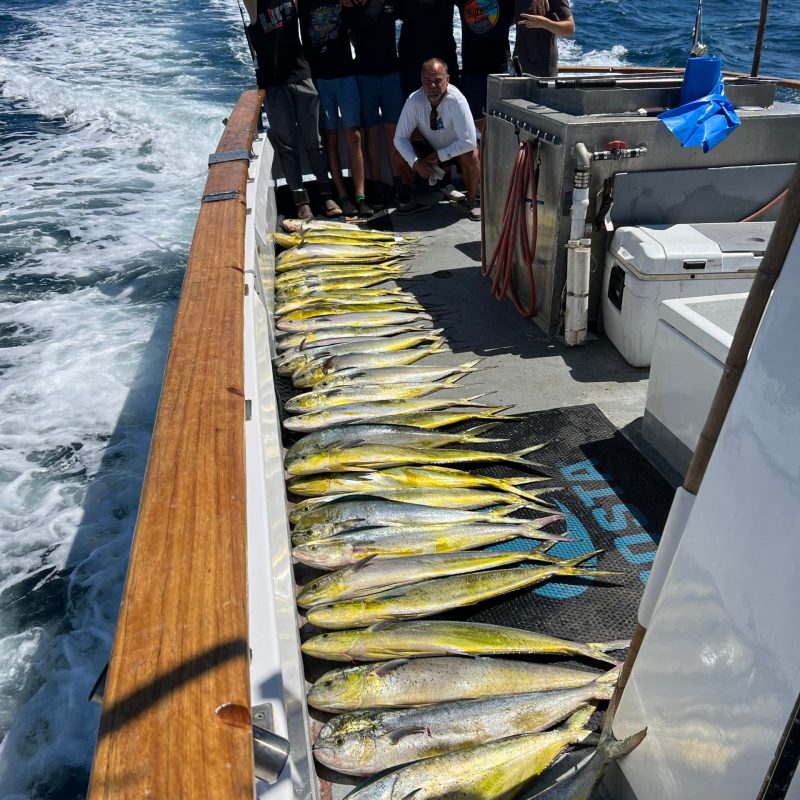 a wooden boat in a body of water