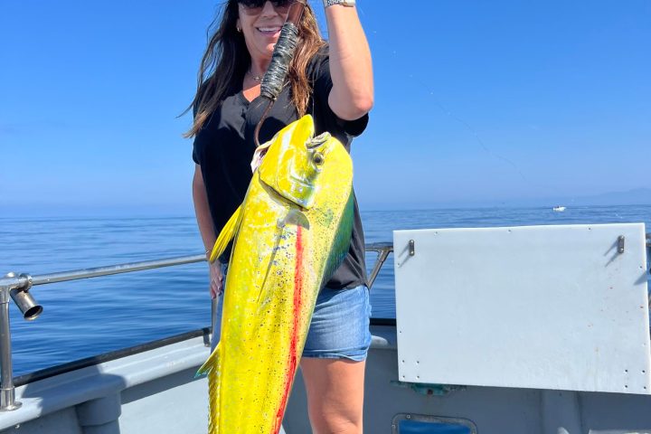 a person holding a fish