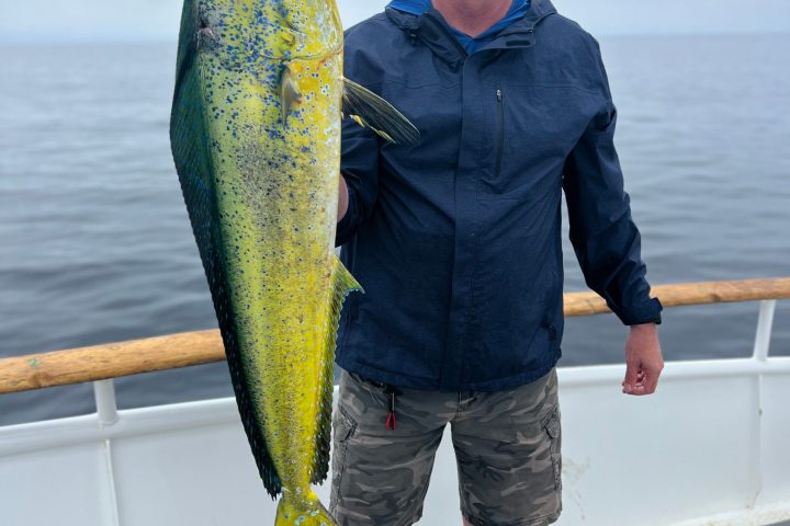 a man holding a fish in the water