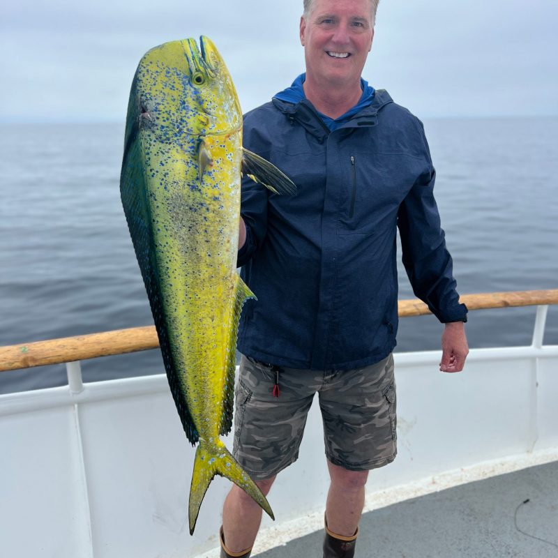 a man holding a fish in the water
