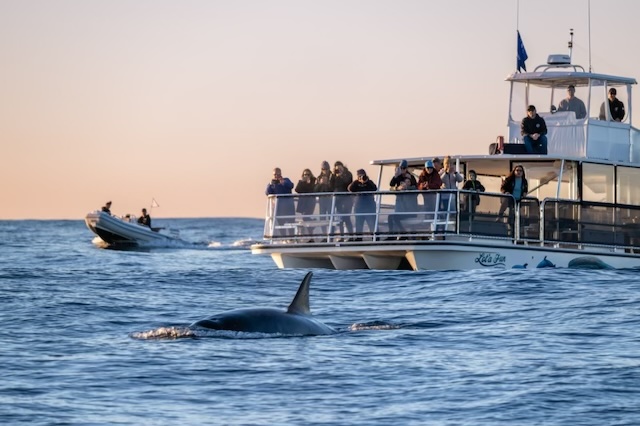 a small boat in a body of water