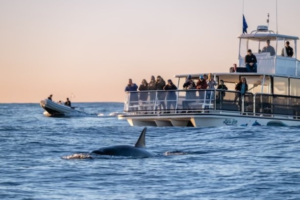 a small boat in a body of water