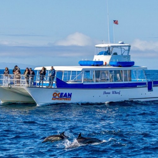 a blue and white boat floating on a body of water