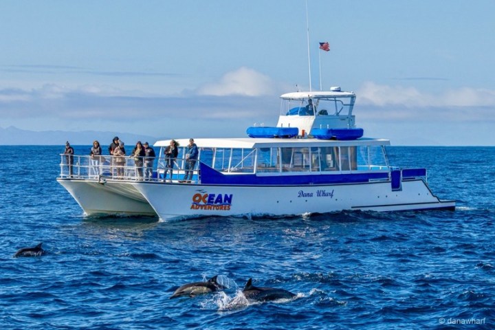a blue and white boat floating on a body of water