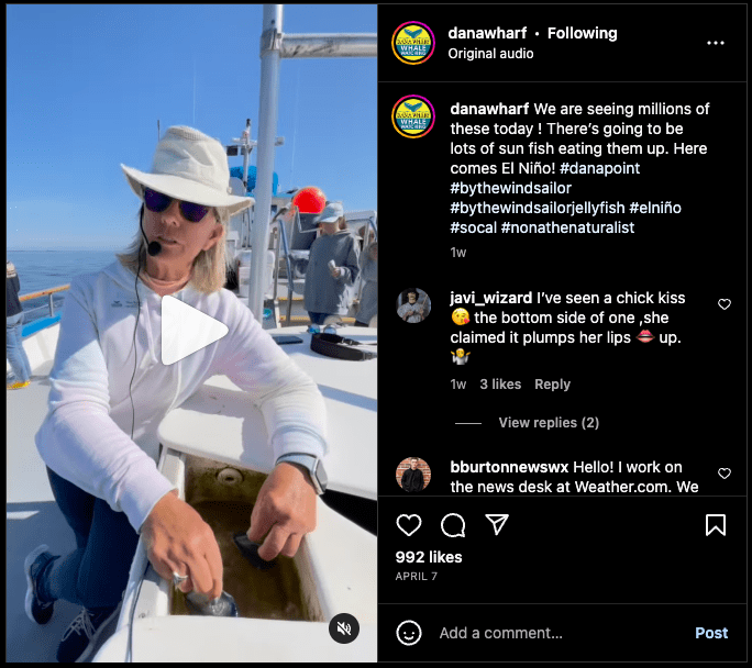 a screenshot of a person