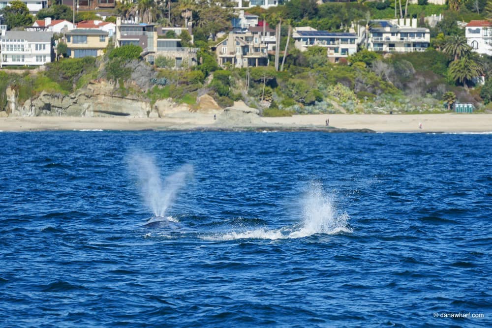 a man flying through the air over a body of water