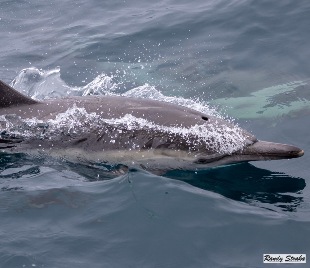 a person riding a wave on a surfboard in the water