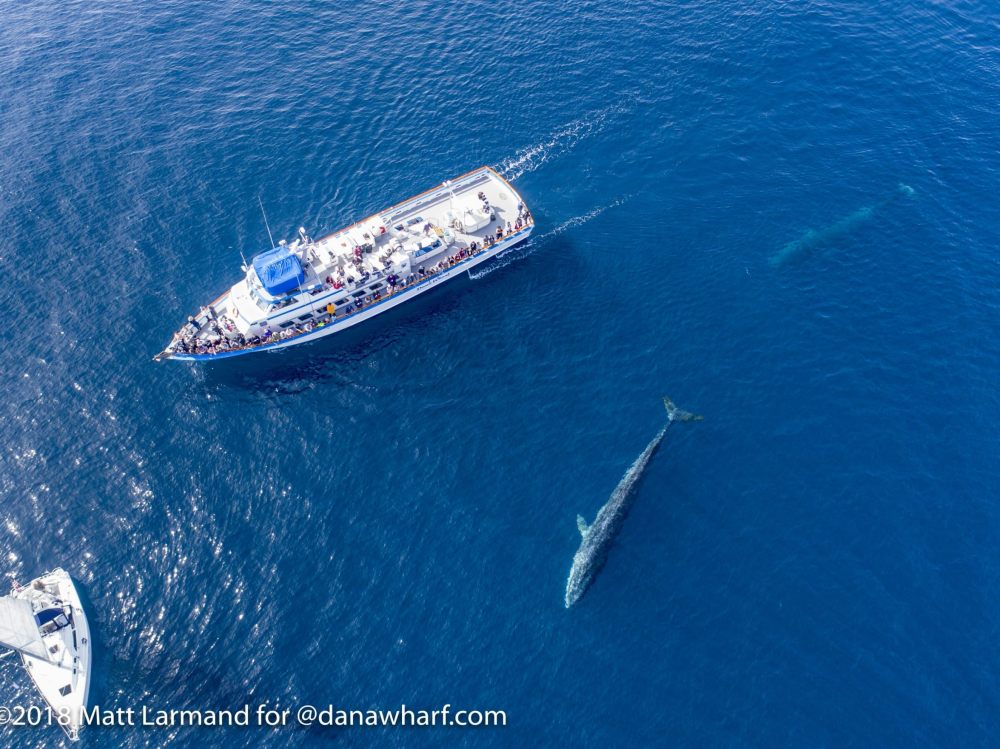 a plane flying over a body of water