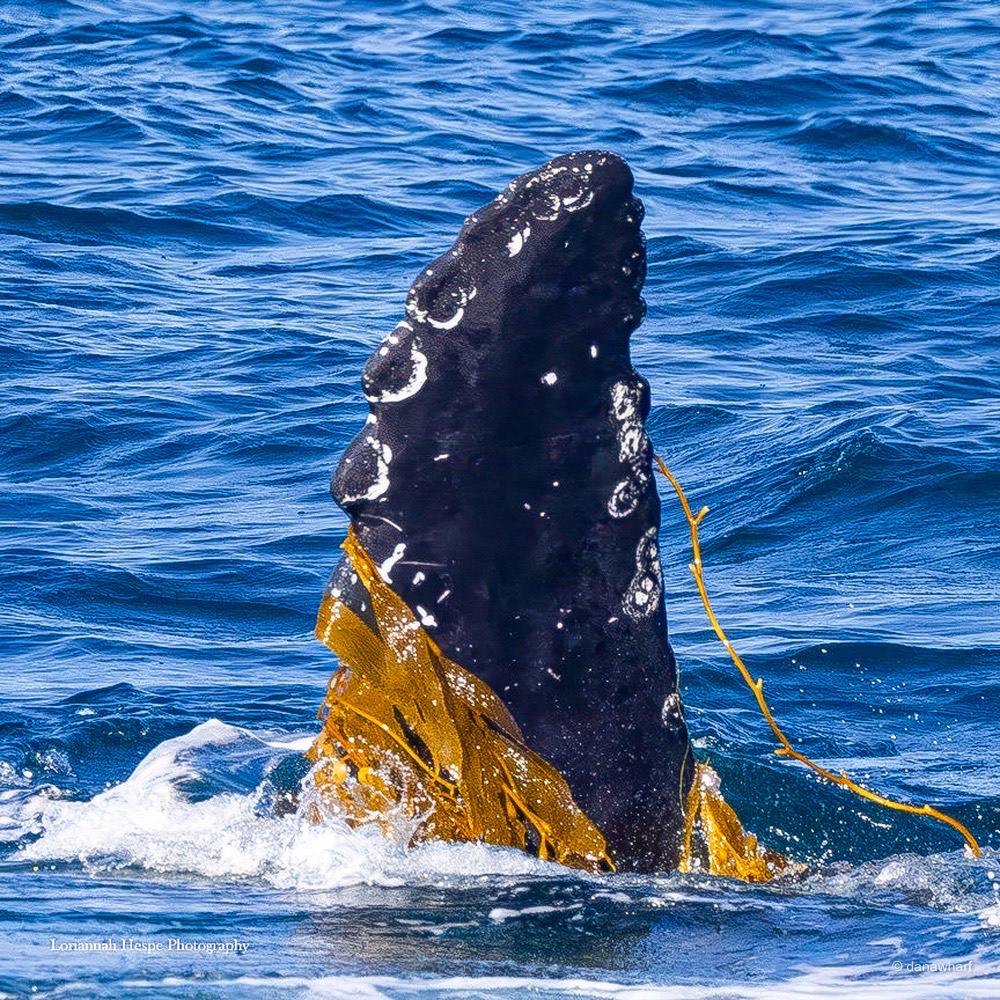 water next to the ocean