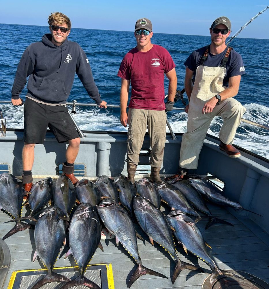 a group of people standing next to a fish in the water