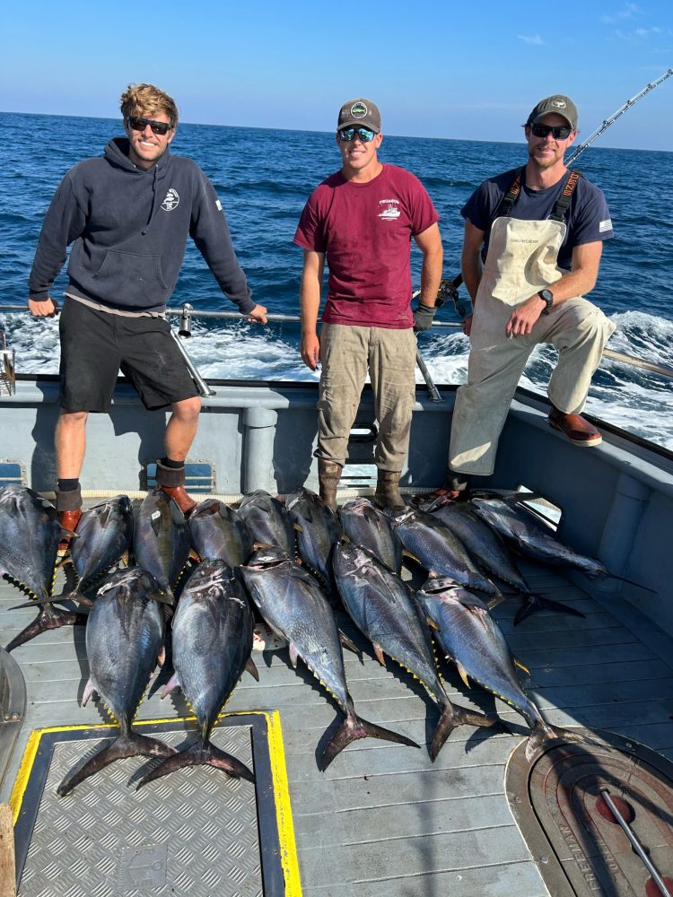 a group of people standing next to a fish in the water