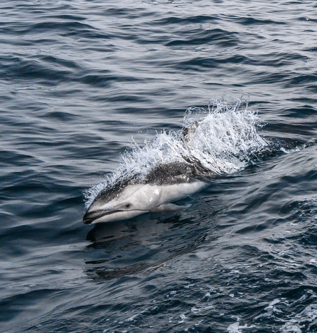 a man lying in a body of water