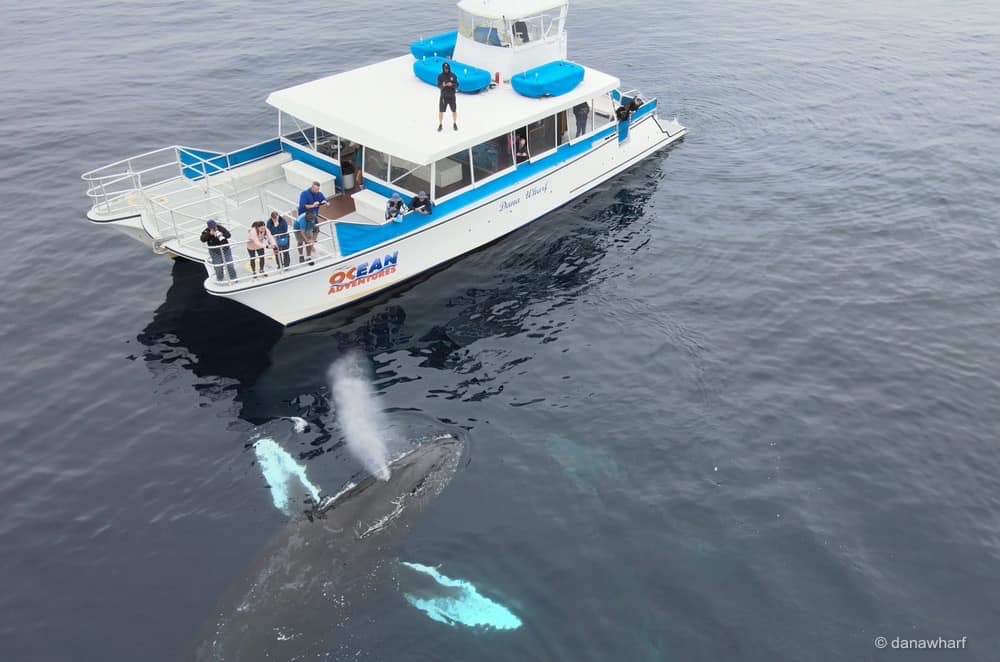 a small boat in a large body of water