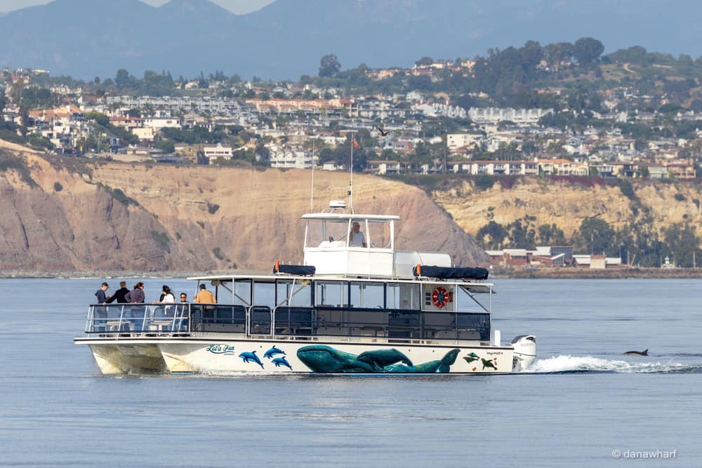 a small boat in a body of water with a city in the background