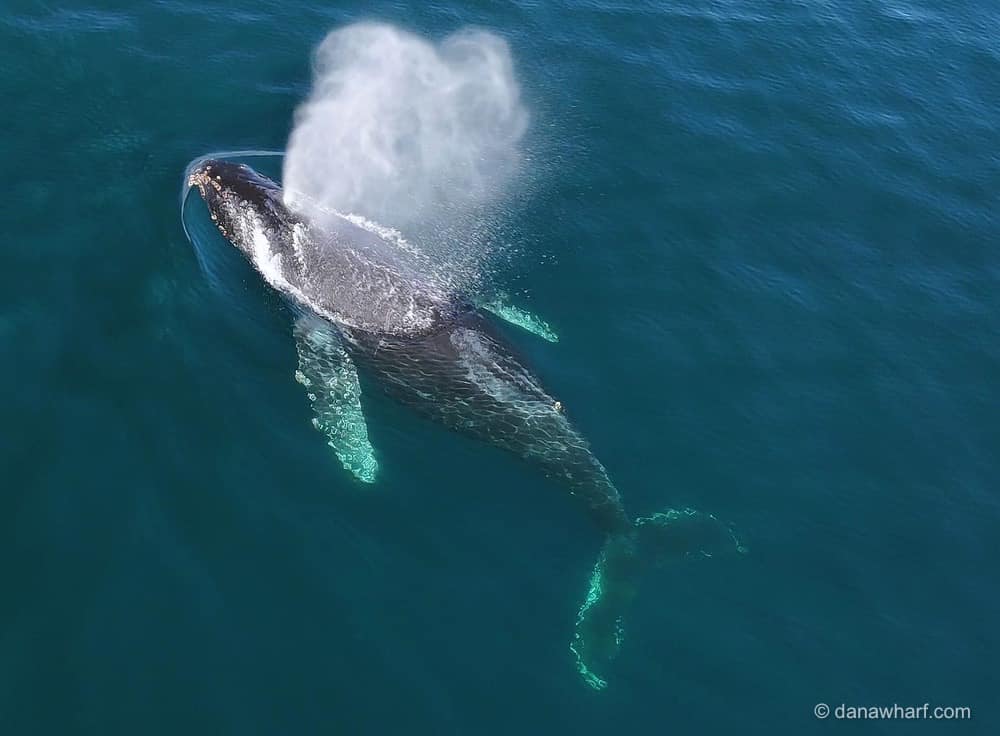 469298923_989184153249148_6461244662889630015_n