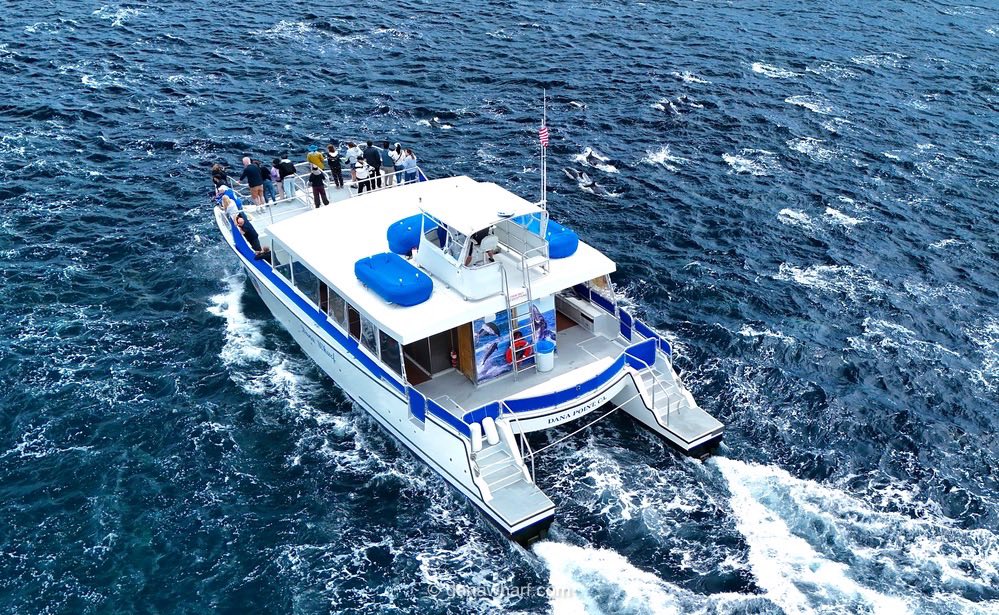 498998070_1112366787597550_6610541022180006588_n a small boat in a body of water