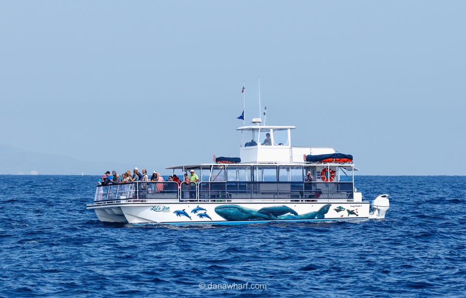 a small boat in a large body of water