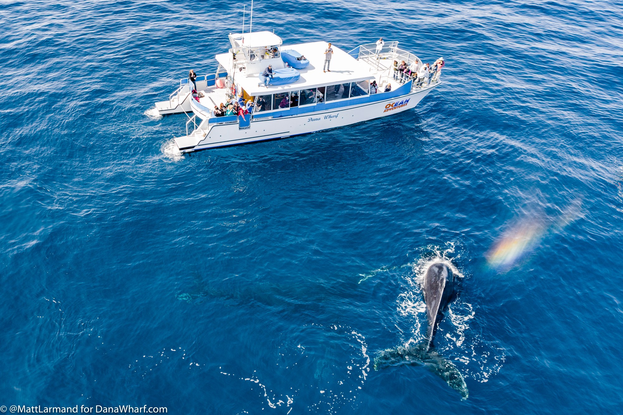 DJI_0043humpback_FDE77387-FBF6-4988-99BF3520D1F0C8A8_4265d088-a290-4741-a2b45fffbcd648b4 DJI_0043humpback_FDE77387-FBF6-4988-99BF3520D1F0C8A8_4265d088-a290-4741-a2b45fffbcd648b4
