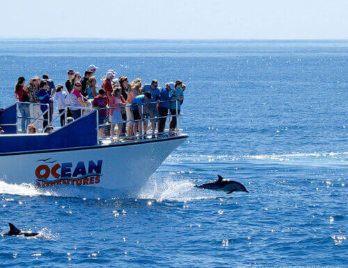 a group of people on a boat in the water