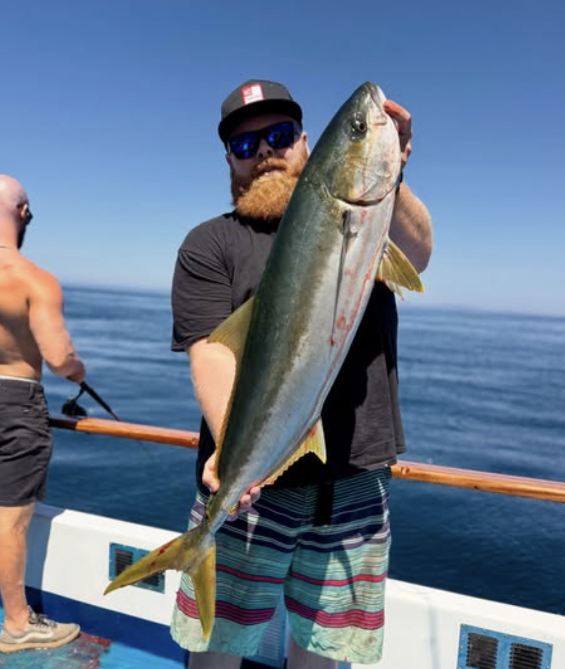 How to Go Yellowtail Snapper Fishing: The Complete Guide, image size:1136x1344