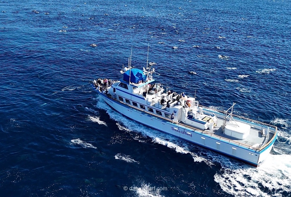Aerial view of a boat named Dana Wharf sailing on blue ocean water.