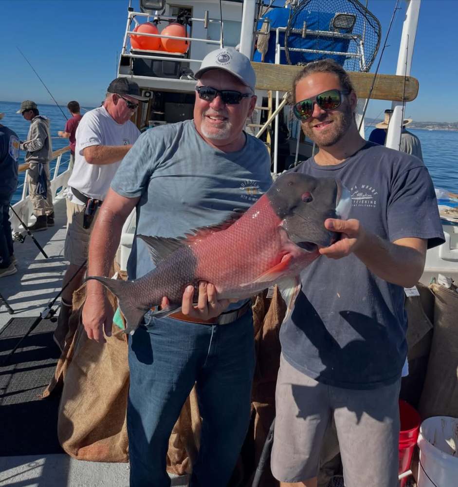 Two men on a boat holding a large fish, smiling on a sunny day.