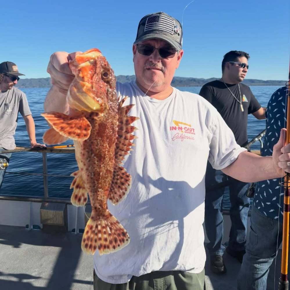 Man on a boat holding a spiky fish in sunny weather, two people in the background.