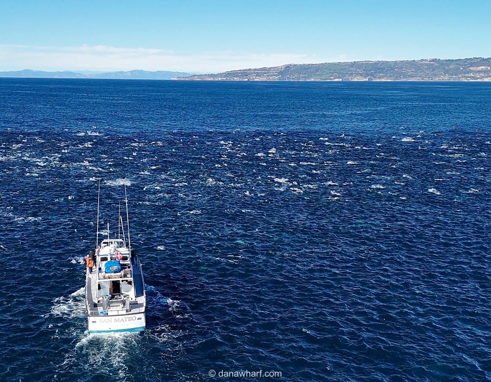 Boat named San Mateo on ocean with distant coastline on horizon.