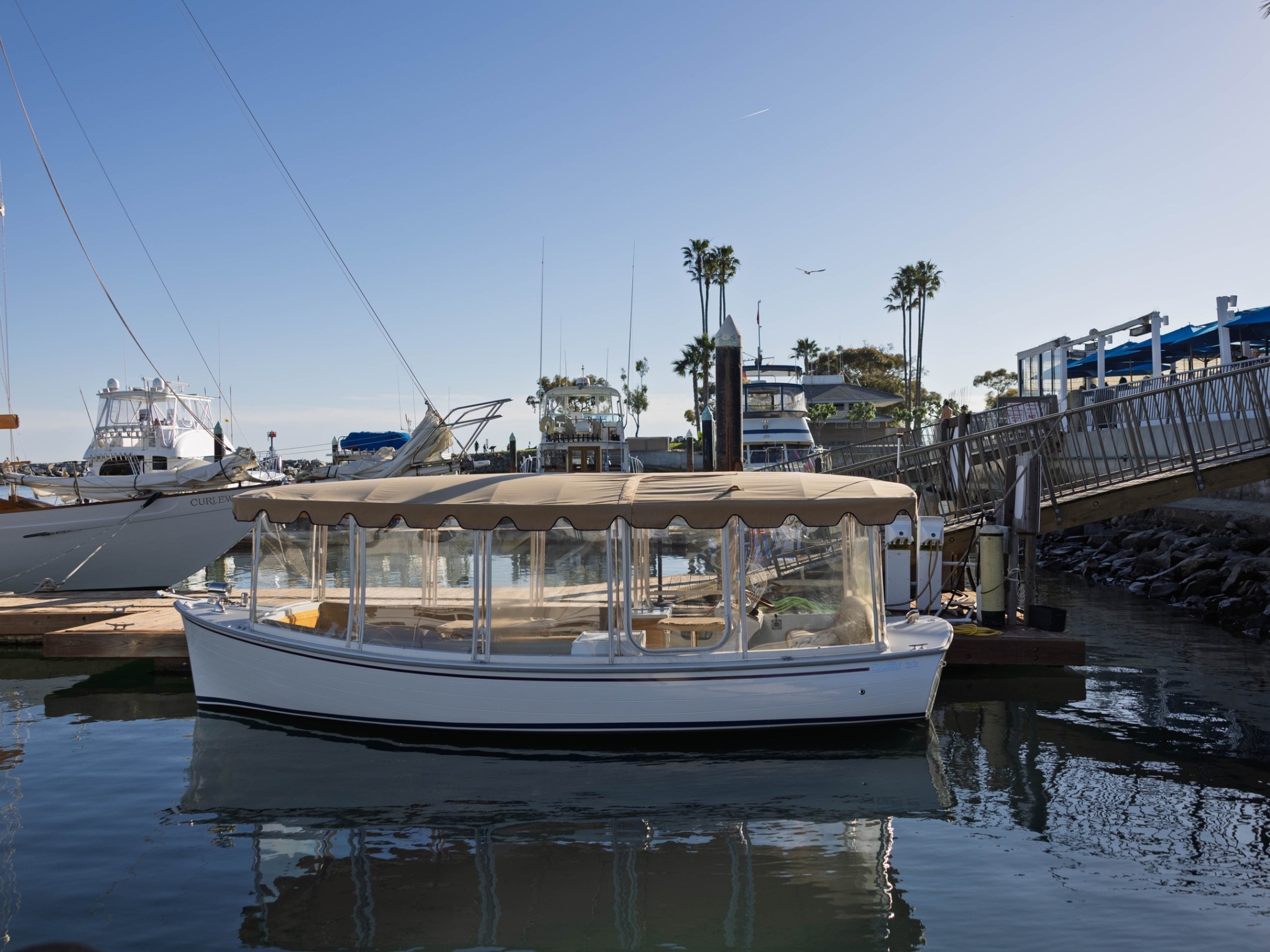 Small boat with canopy docked at marina with palm trees and clear sky.