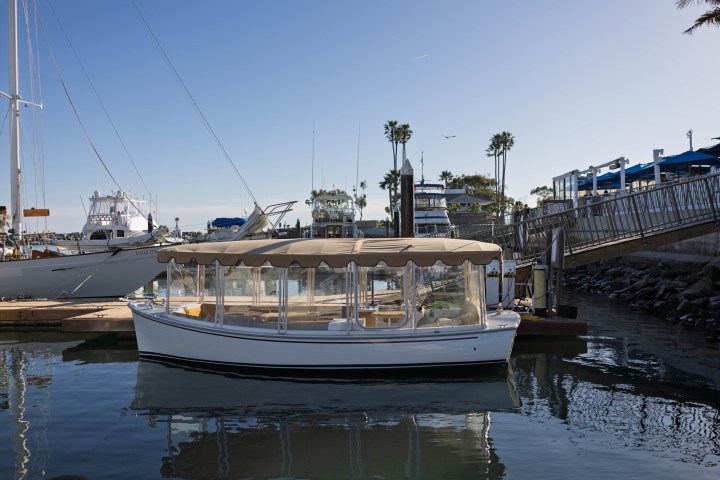 Small boat with canopy docked at marina with palm trees and clear sky.