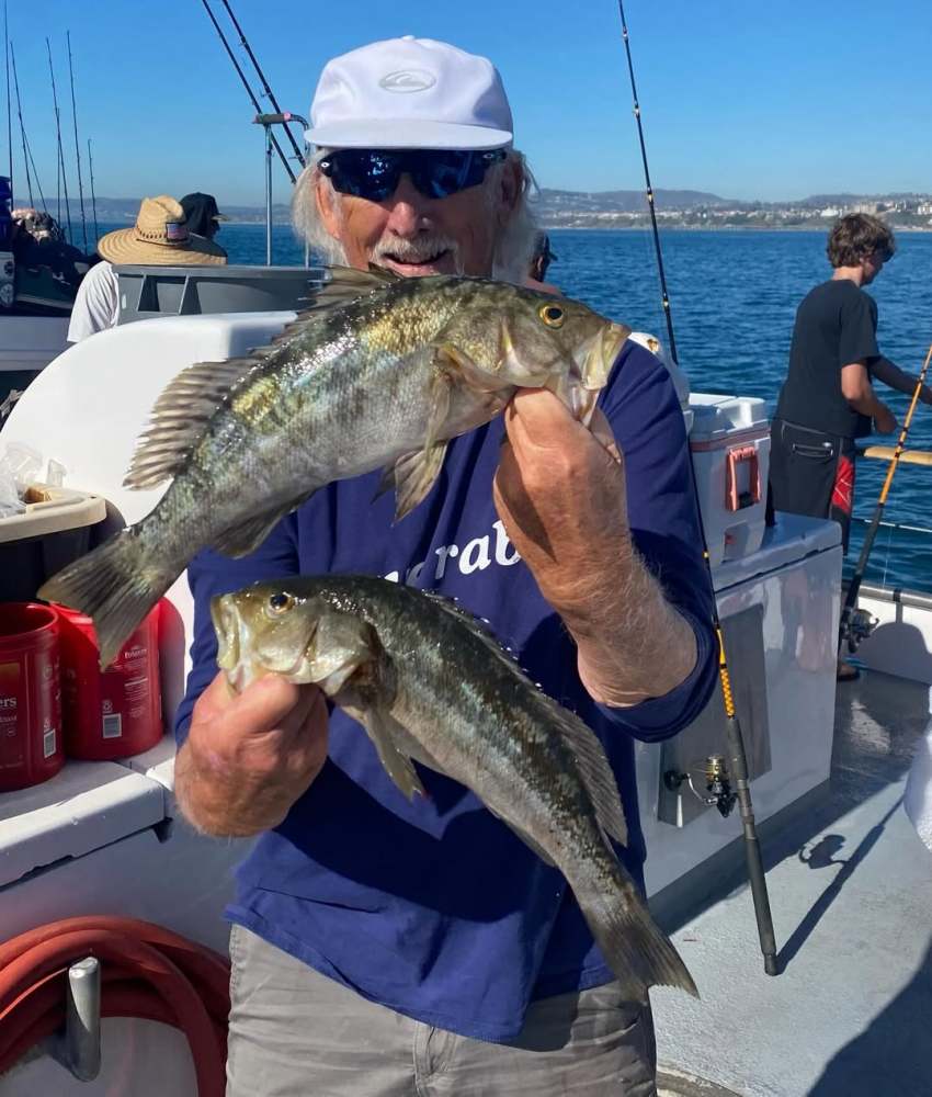 Person on a fishing boat holding two fish with a blue ocean backdrop.
