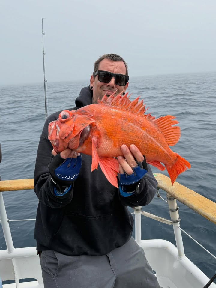 Angler holding a vermilion rockfish caught on the Dana Wharf sportfishing rockfish opener off Dana Point, California