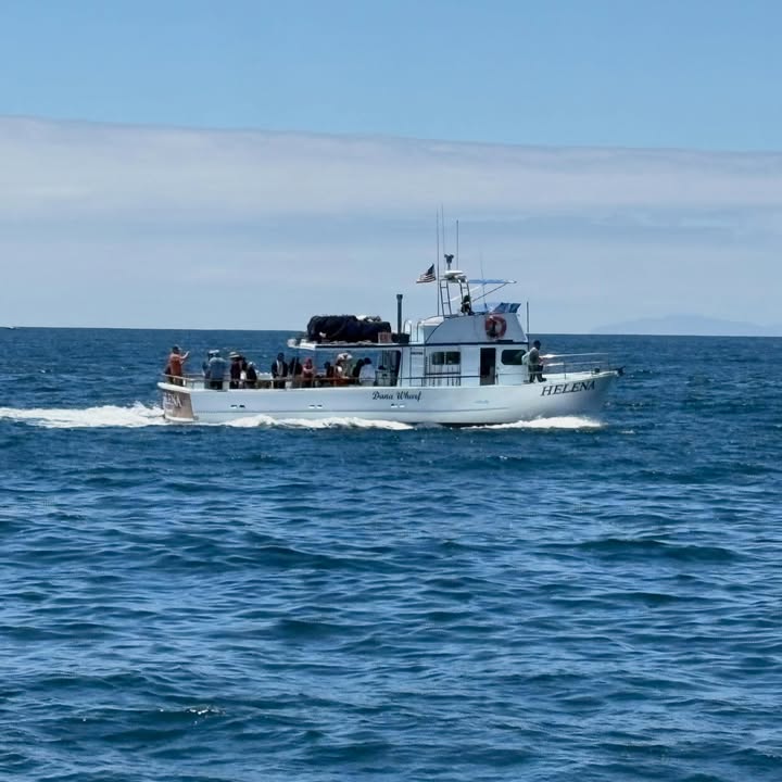 A Dana Wharf sportfishing boat, the Helena, running full of anglers off Dana Point, California