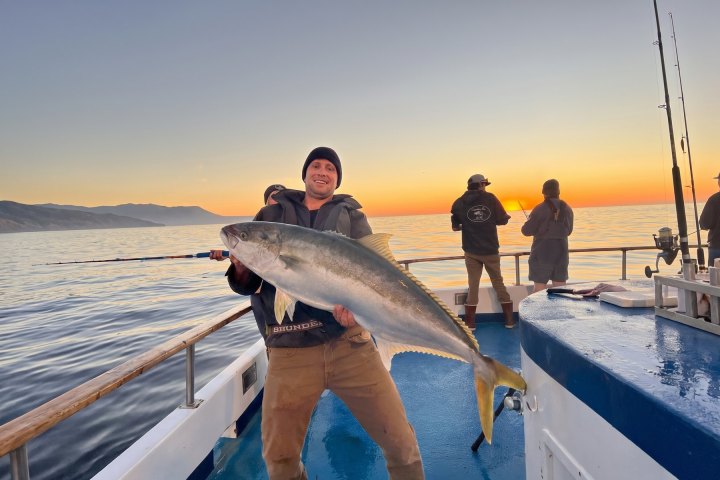 a person holding a fish in the water