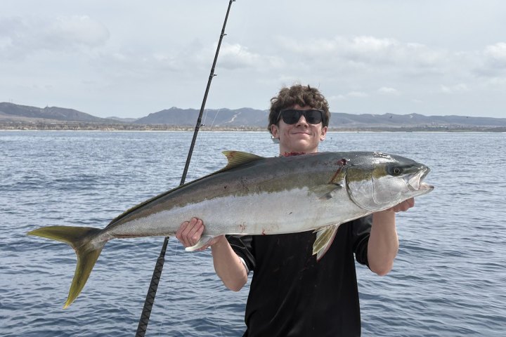 Young angler holding a yellowtail on a Dana Wharf 3/4-day fishing trip