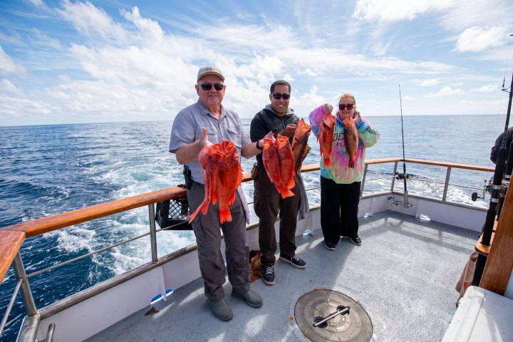 Angler with their catch on a Dana Wharf 3/4-day fishing trip out of Dana Point