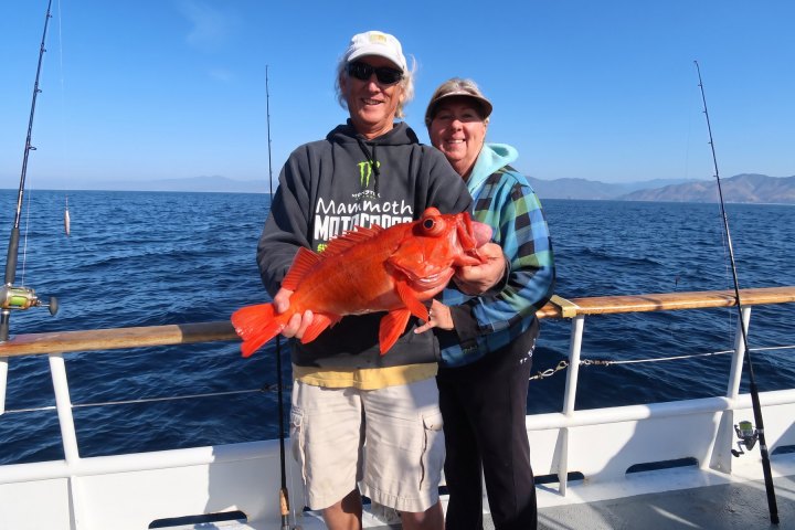 Angler with their catch on a Dana Wharf 3/4-day fishing trip out of Dana Point